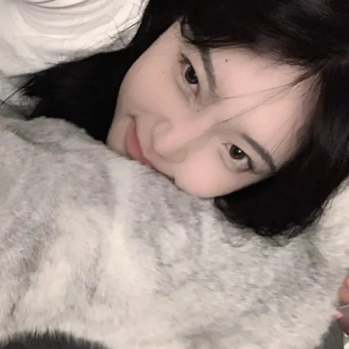 方舱48小时 海报